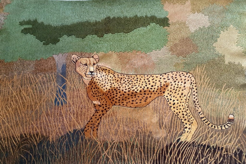 Cheetah in the Tall Grass